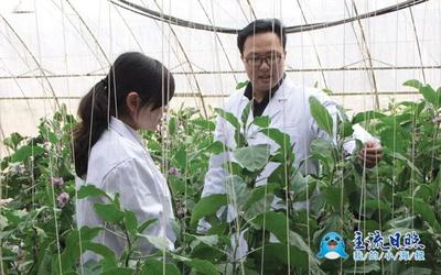 大学生创业之星 | 安仲涛 以科技疗愈受伤的土地