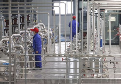 烟台以优化电力营商环境为引擎 推动生物化工技术研发新突破